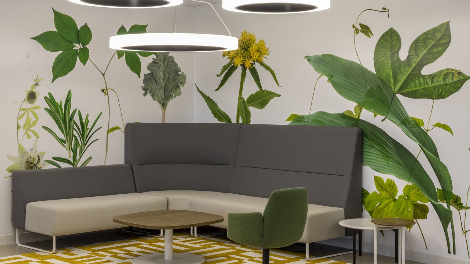 Metagenics Office, Aliso Viejo, CA — Hendy